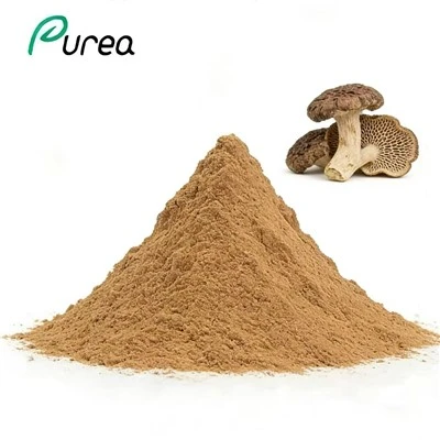 Polyporus-uutejauhe
